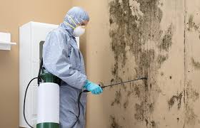 Best Water Damage & Mold Remediation  in Georgetown, CT